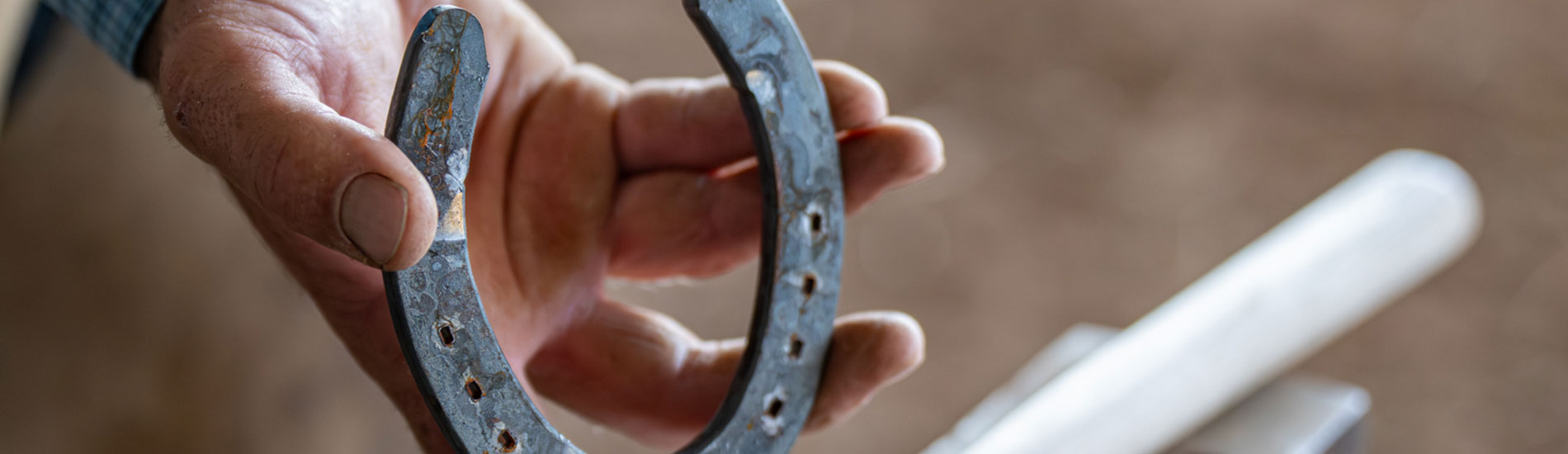 Hand Holding Horseshoe